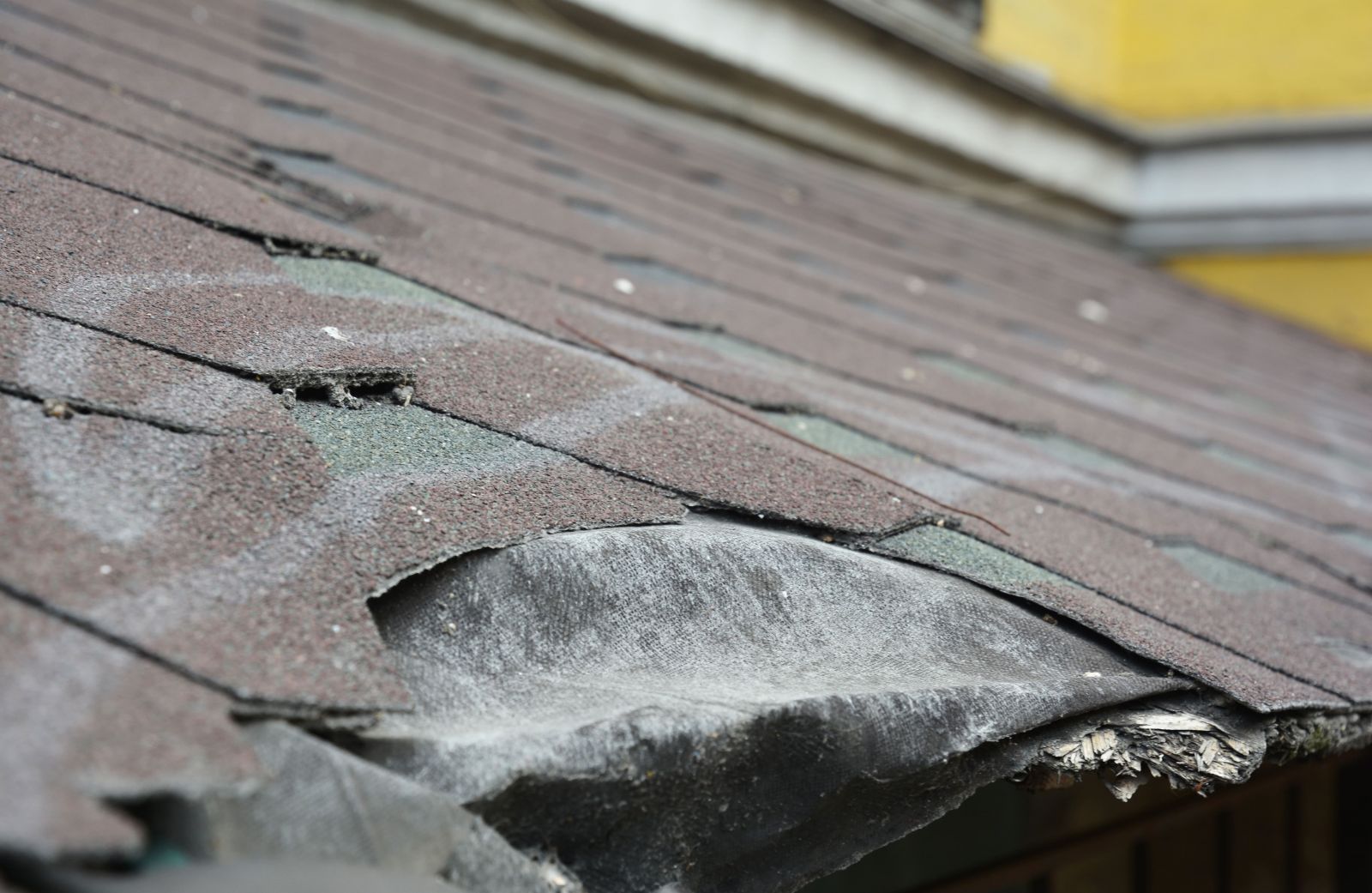 High Standards Roofing Images