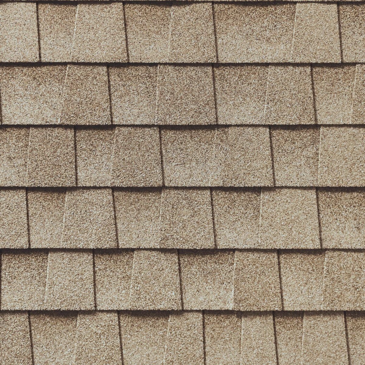 High Standards Roofing Images